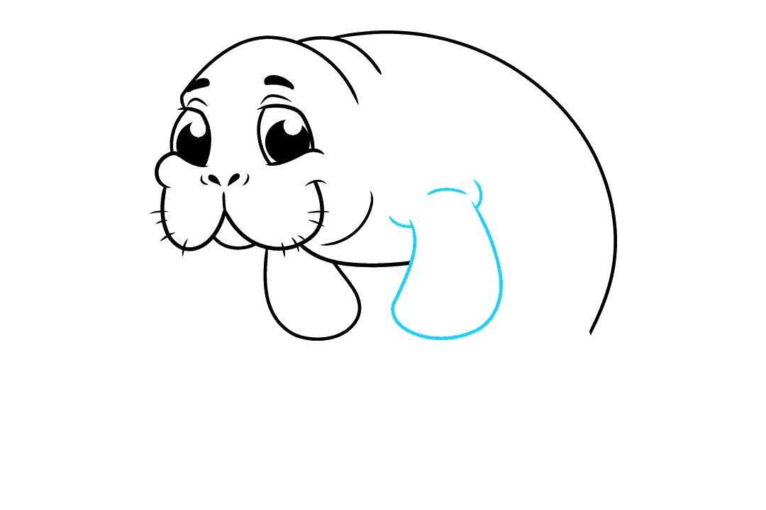 海牛怎么画-图8