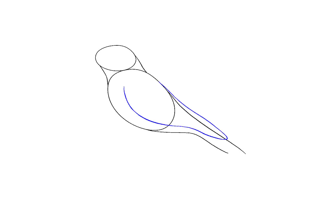 画乌鸦的步骤图（超详细）-图5