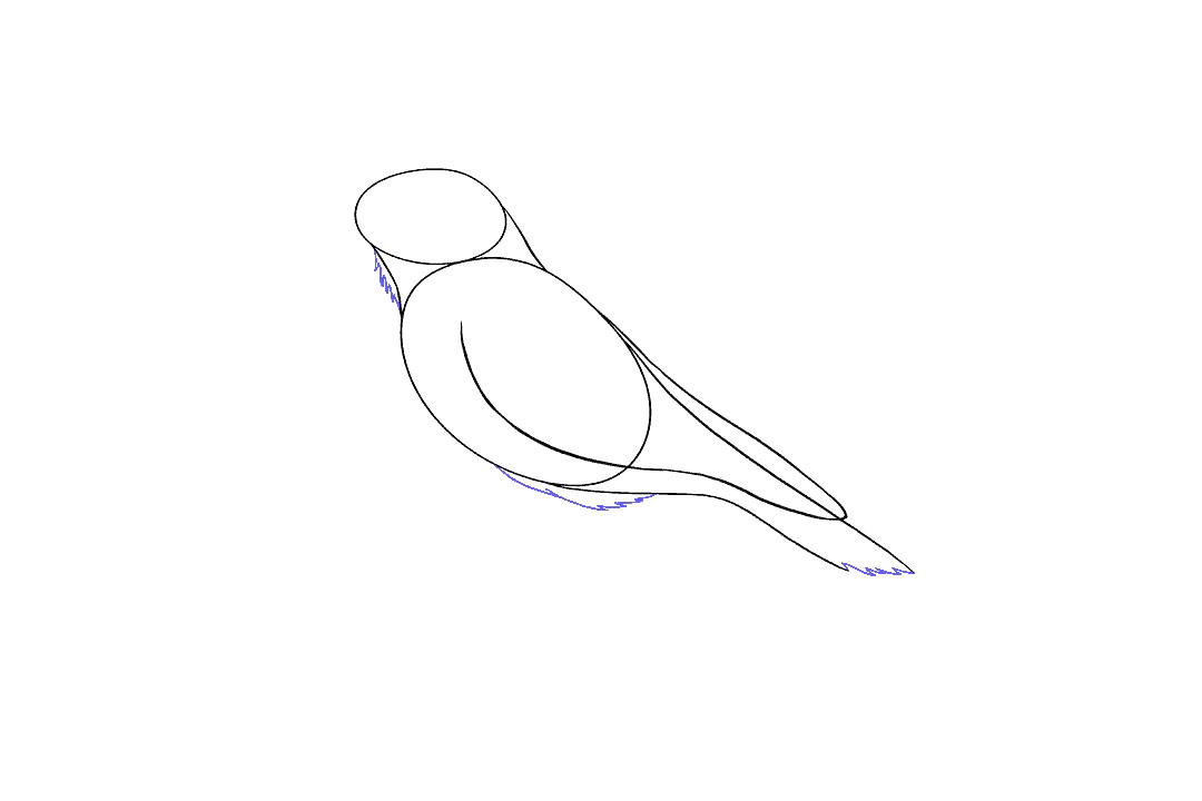 画乌鸦的步骤图（超详细）-图6