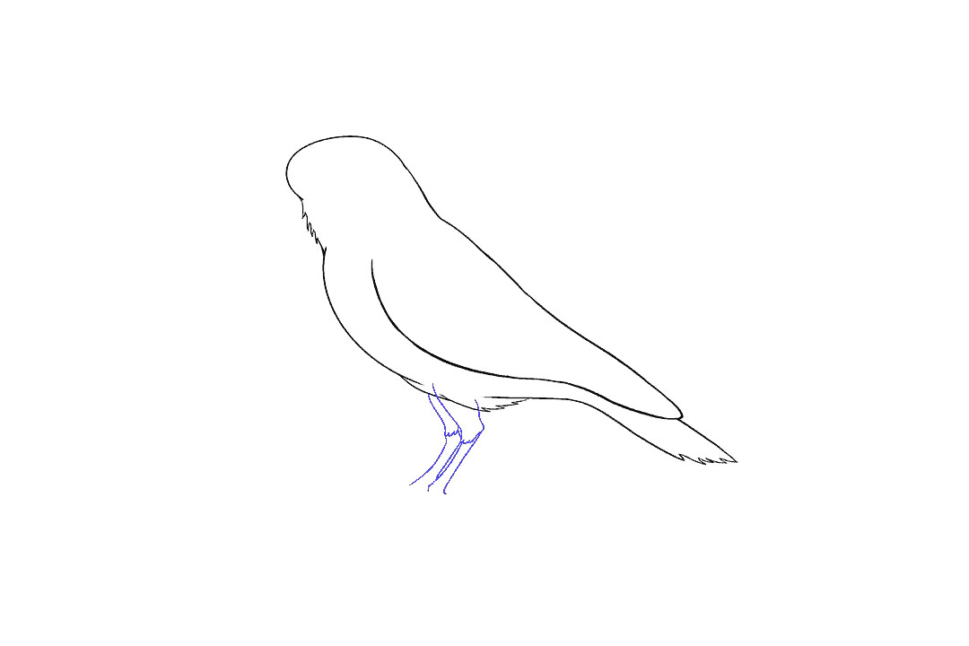 画乌鸦的步骤图（超详细）-图8