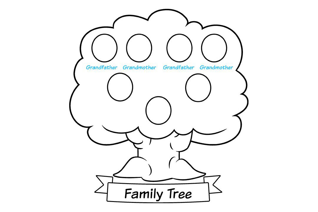 家庭树怎么画-图8