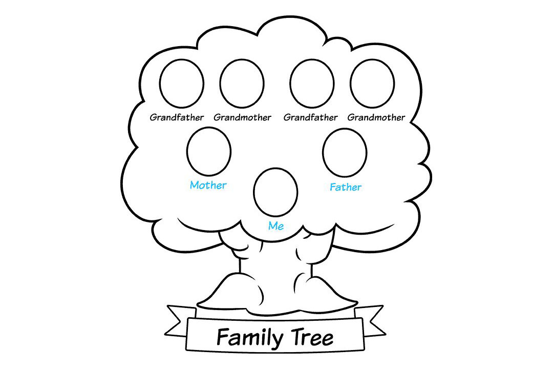 家庭树怎么画-图9