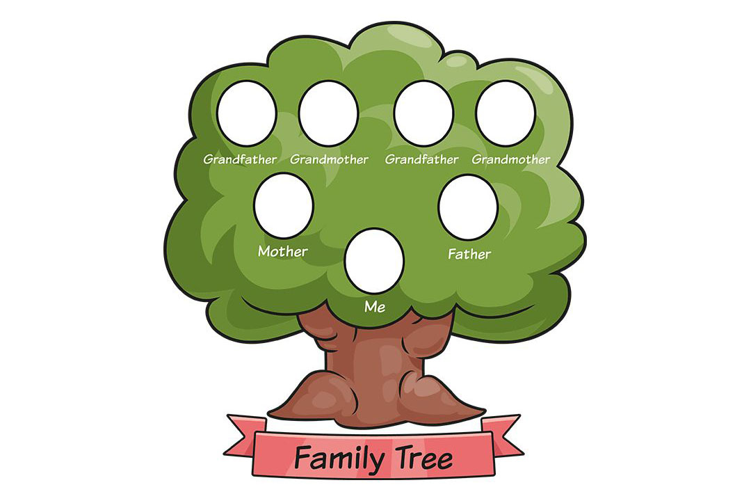 家庭树怎么画