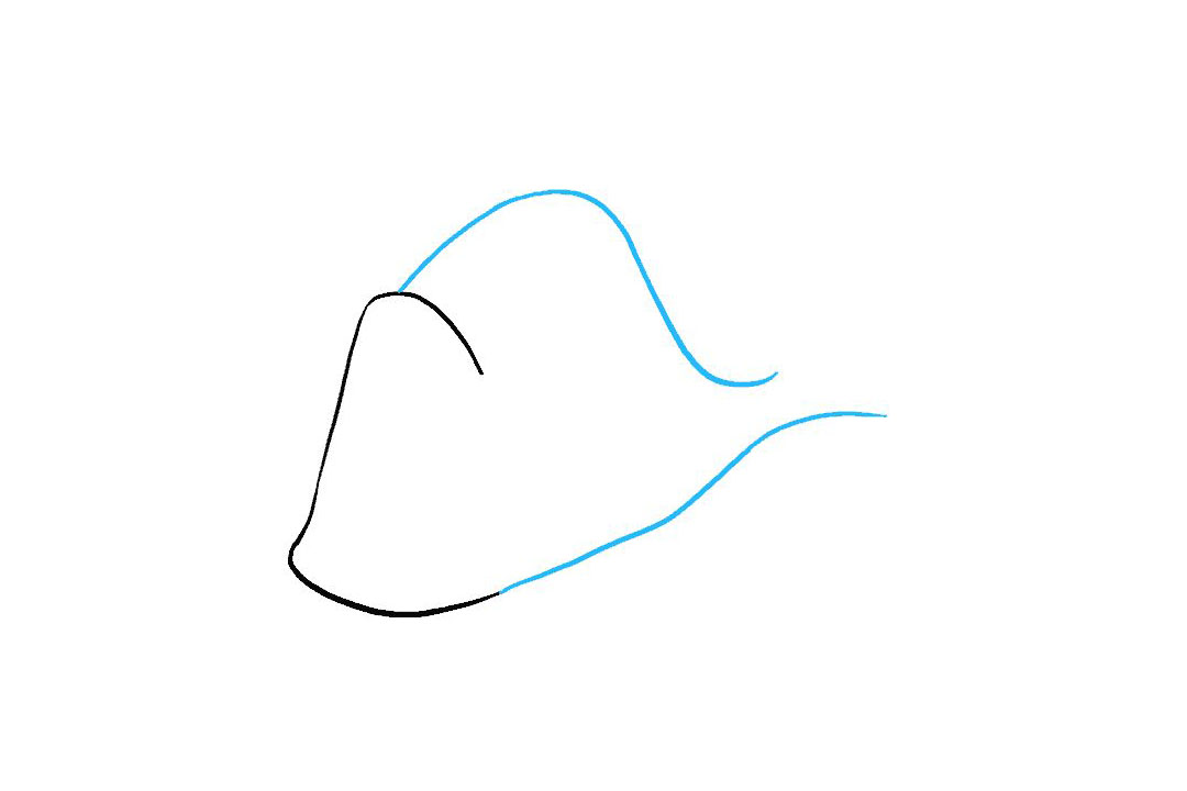 多莉怎么画-图3