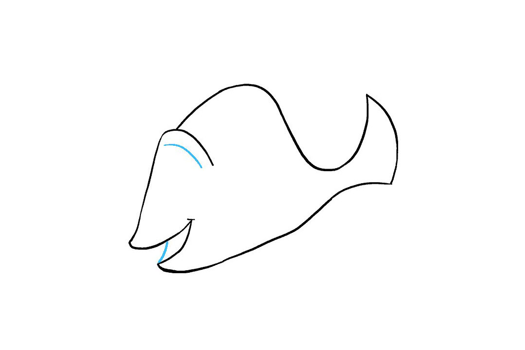 多莉怎么画-图7