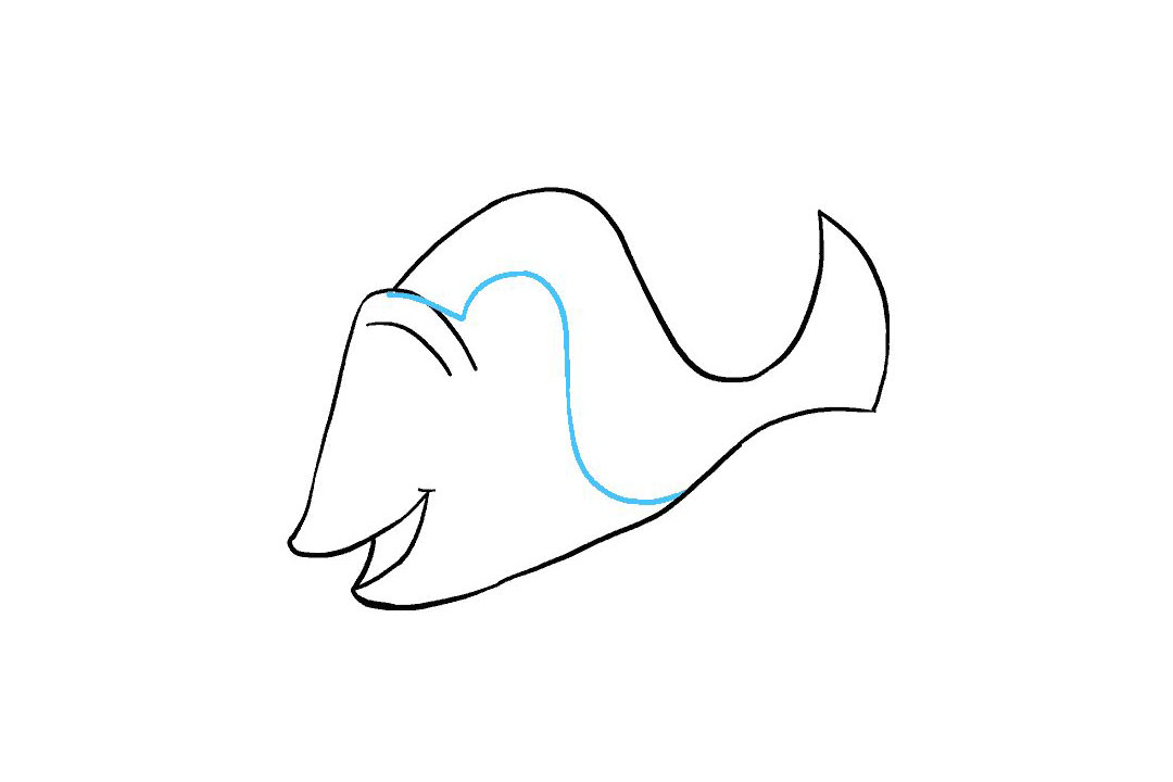 多莉怎么画-图8