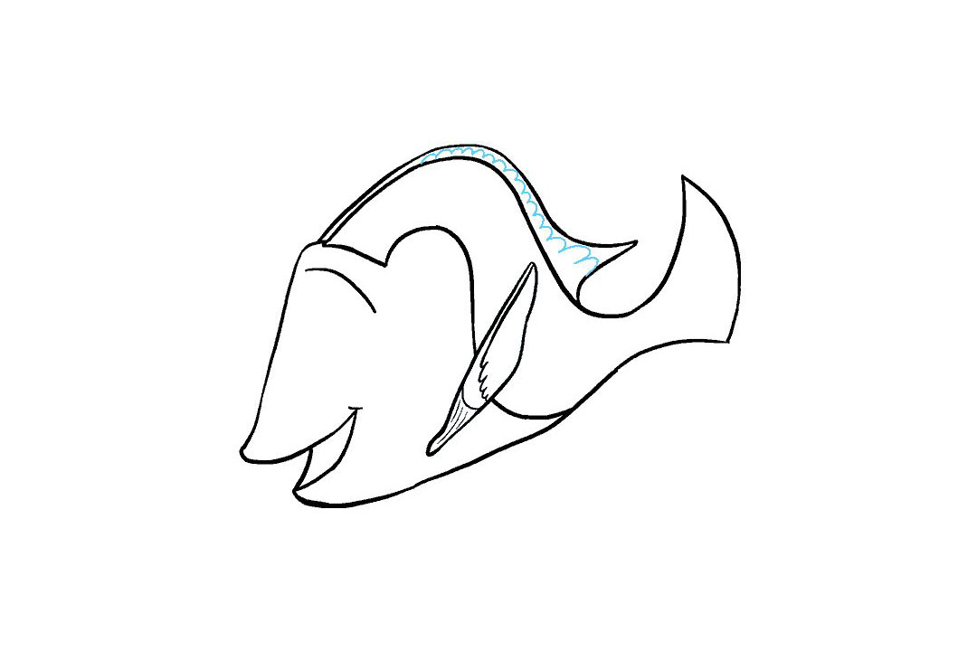 多莉怎么画-图13