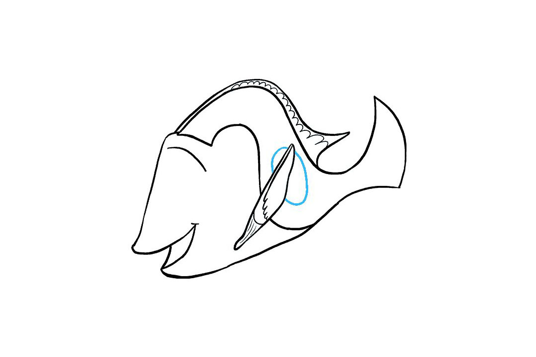 多莉怎么画-图14