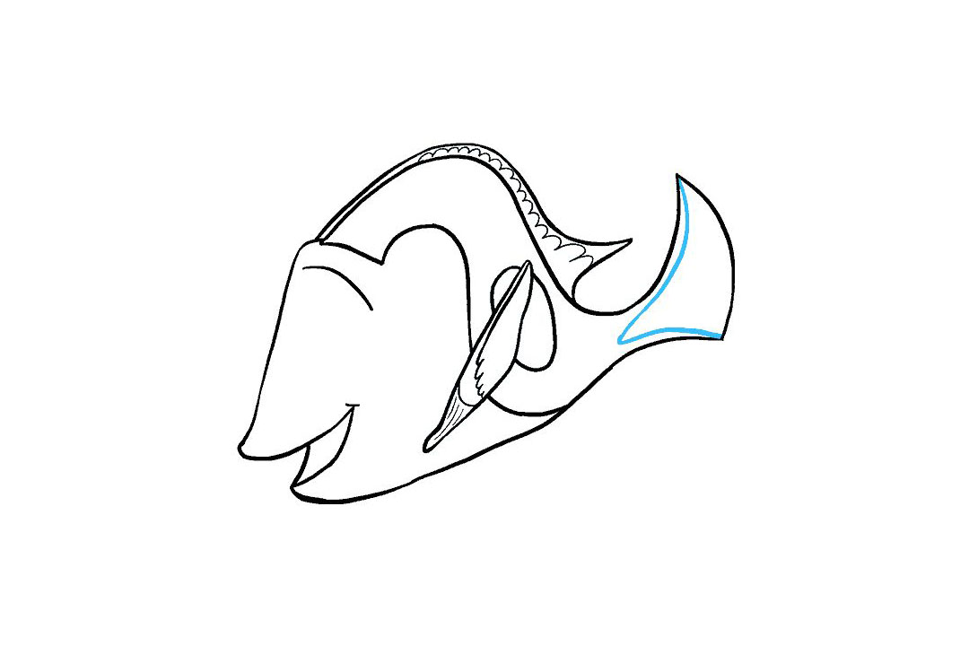 多莉怎么画-图15