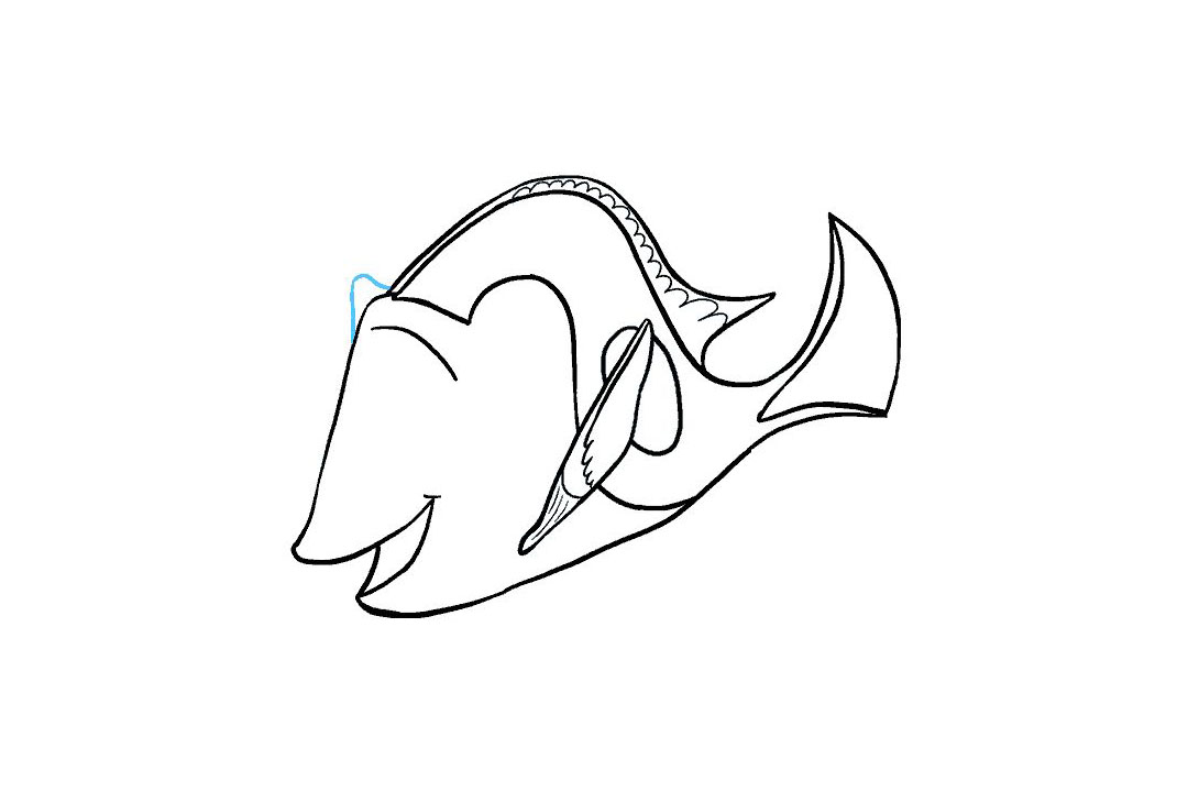 多莉怎么画-图16