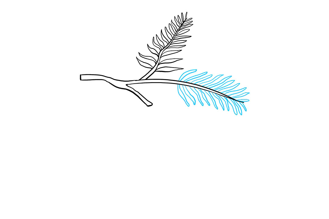 如何画松果简笔画-图3