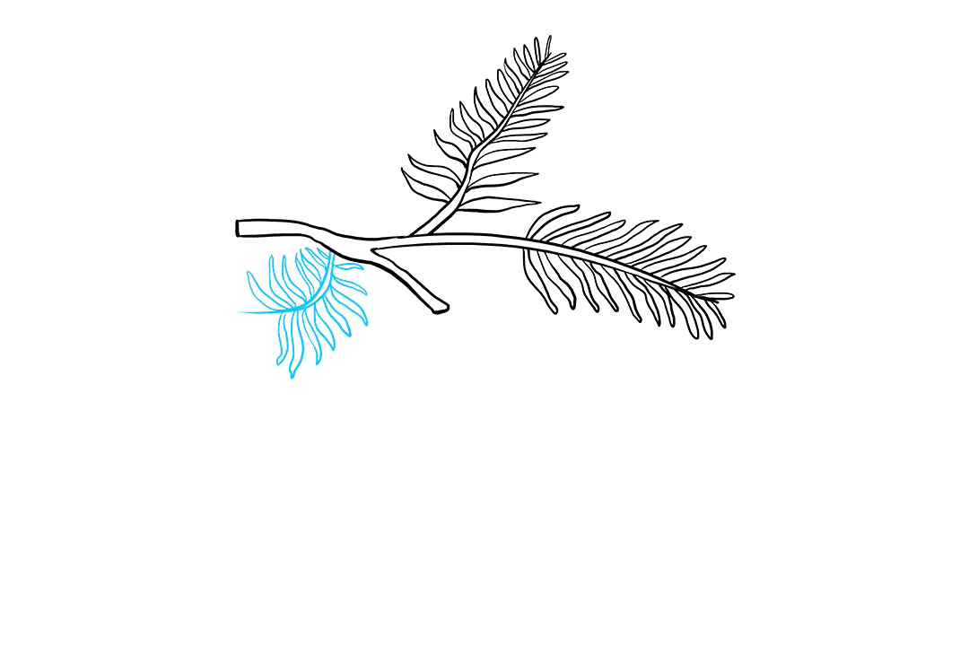 如何画松果简笔画-图4