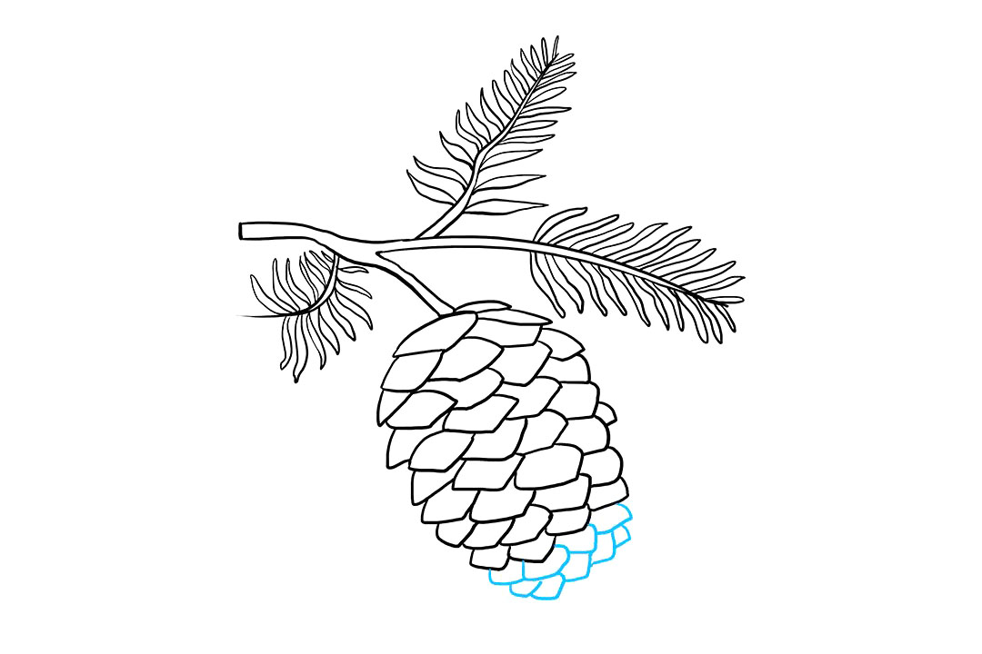 如何画松果简笔画-图8