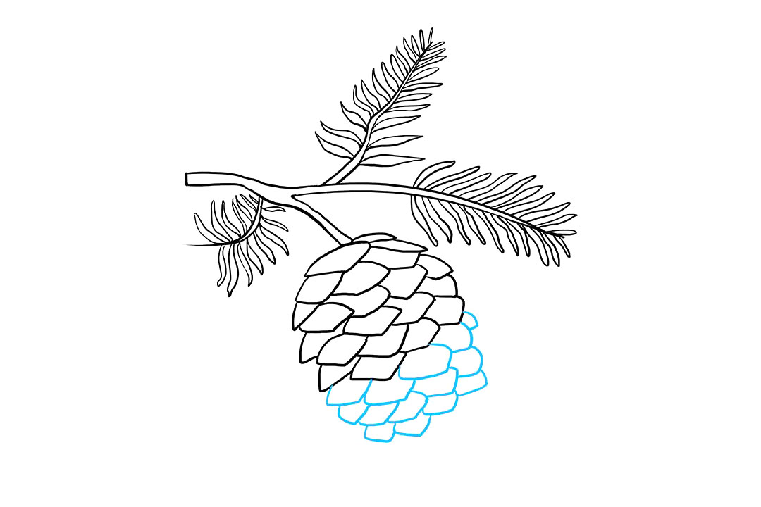 如何画松果简笔画-图7