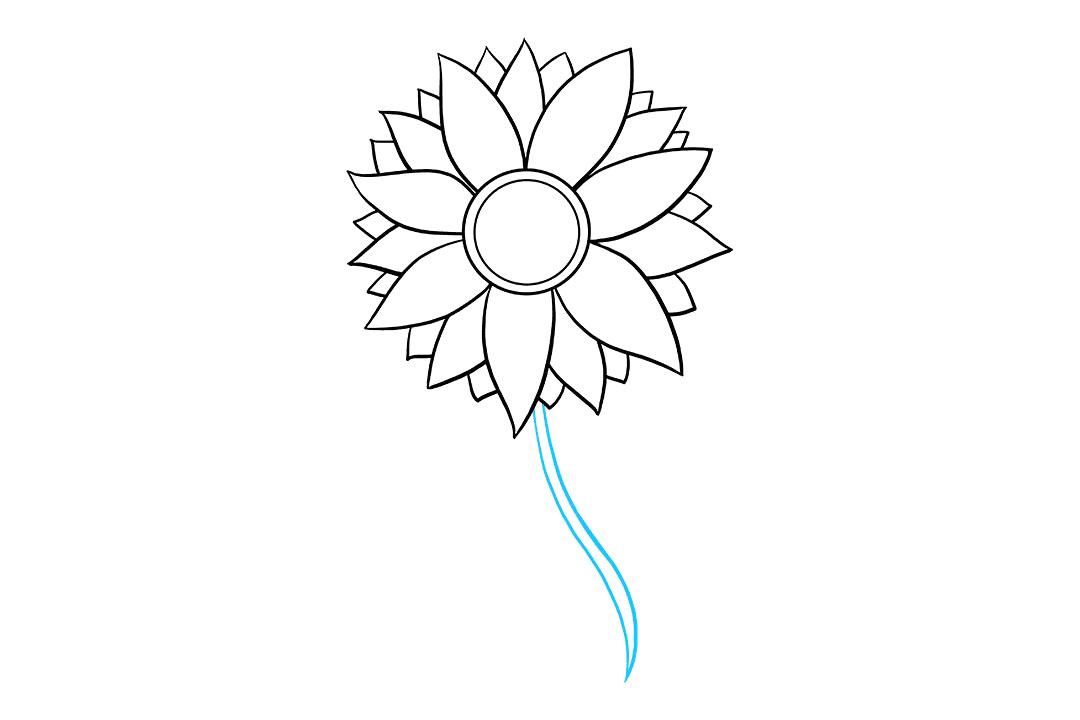 向日葵怎么画-图6