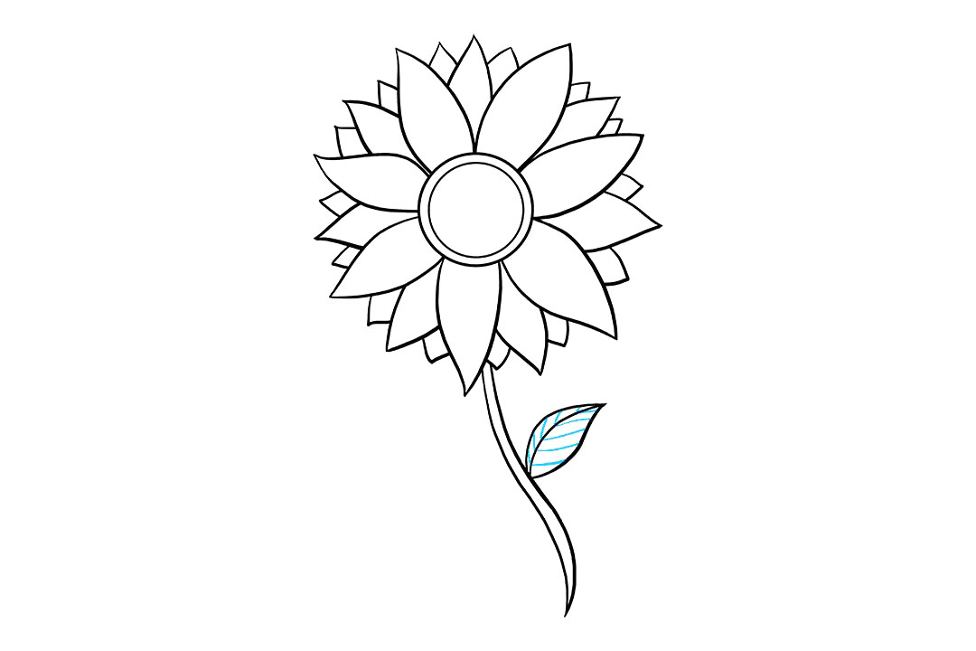向日葵怎么画-图8