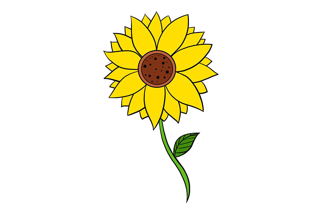 向日葵怎么画