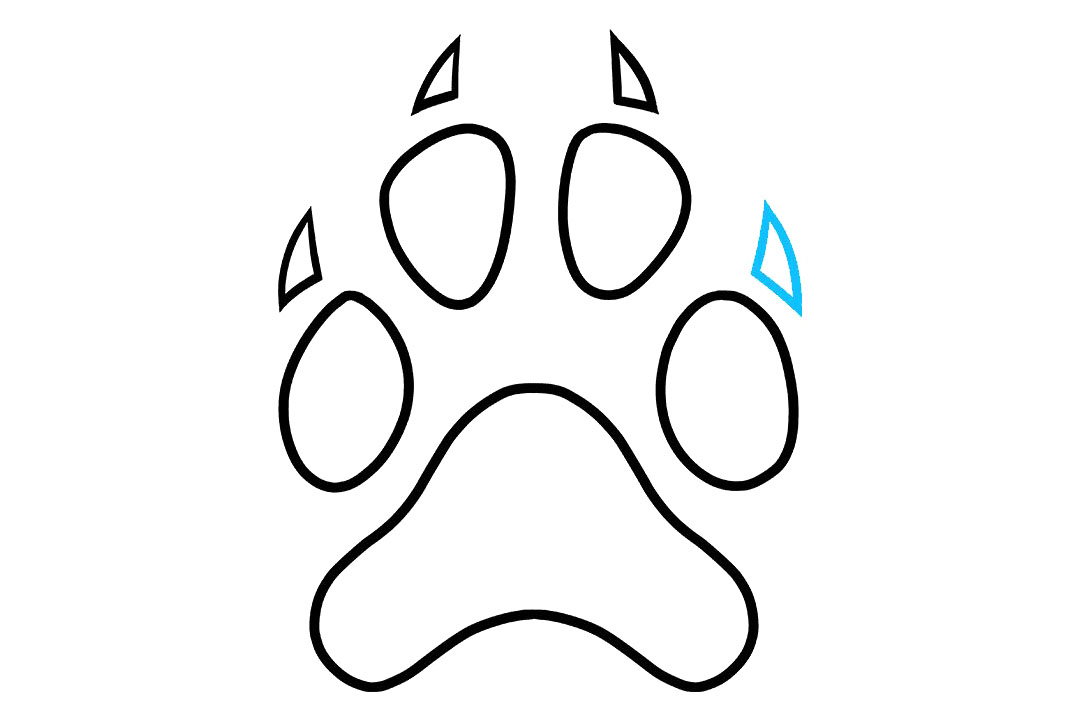 狗爪印怎么画-图9