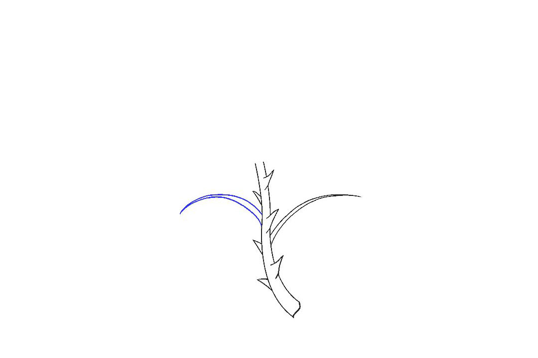 如何画一朵漂亮的玫瑰花-图3