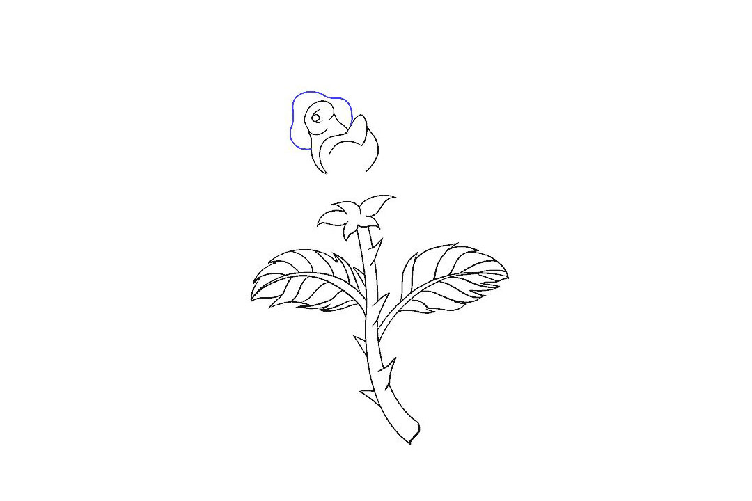 如何画一朵漂亮的玫瑰花-图8