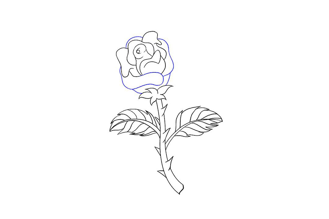 如何画一朵漂亮的玫瑰花-图10