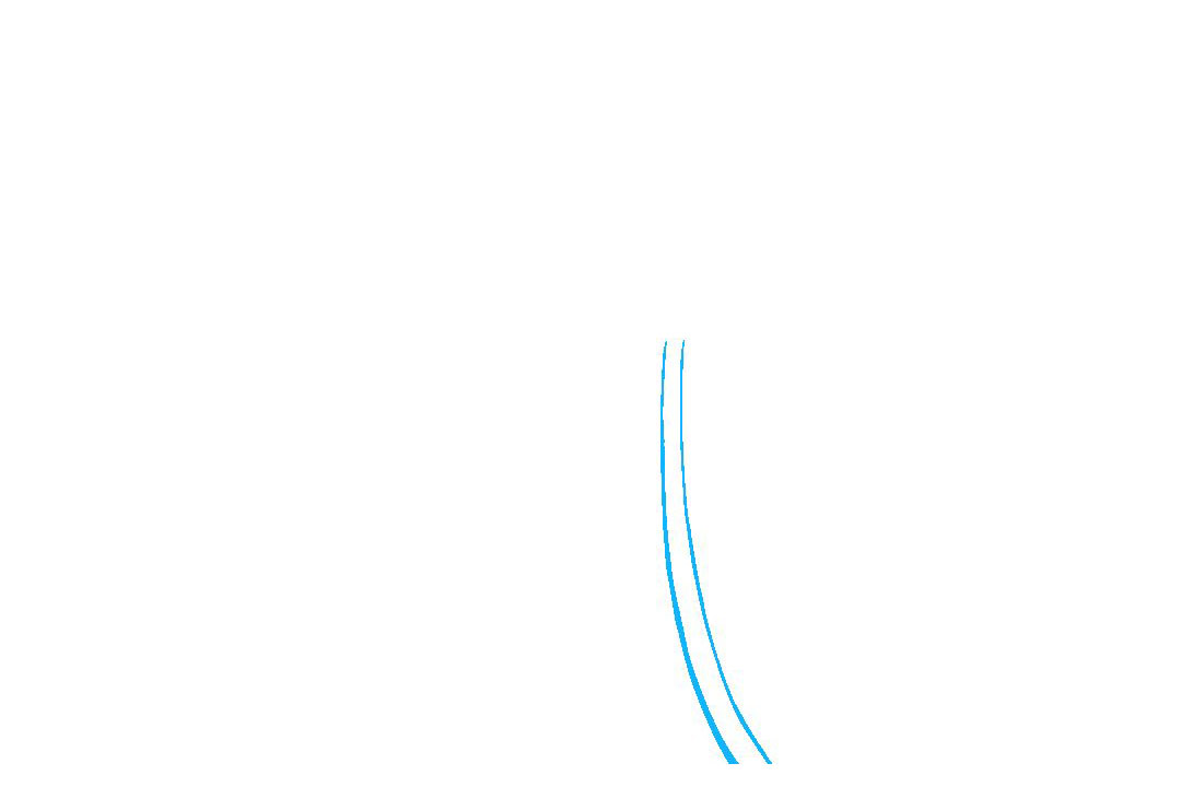 如何画郁金香简笔画-图1