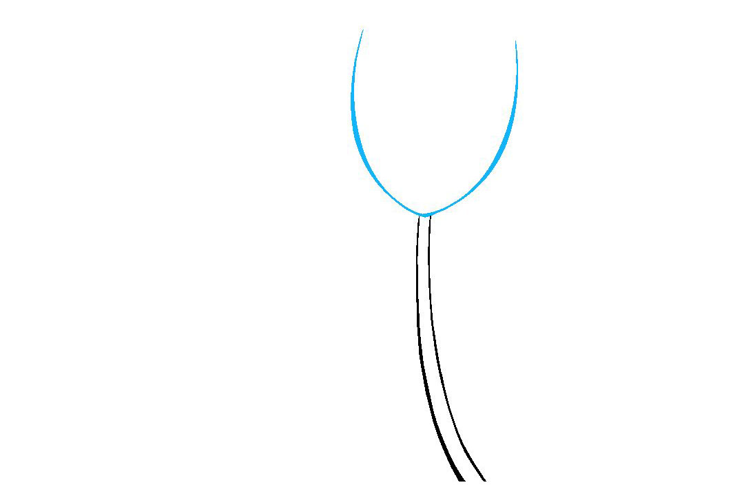 如何画郁金香简笔画-图2