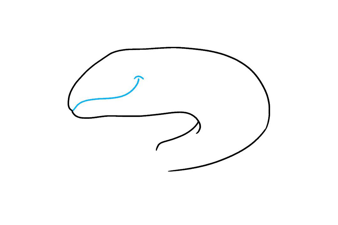 三文鱼怎么画-图2