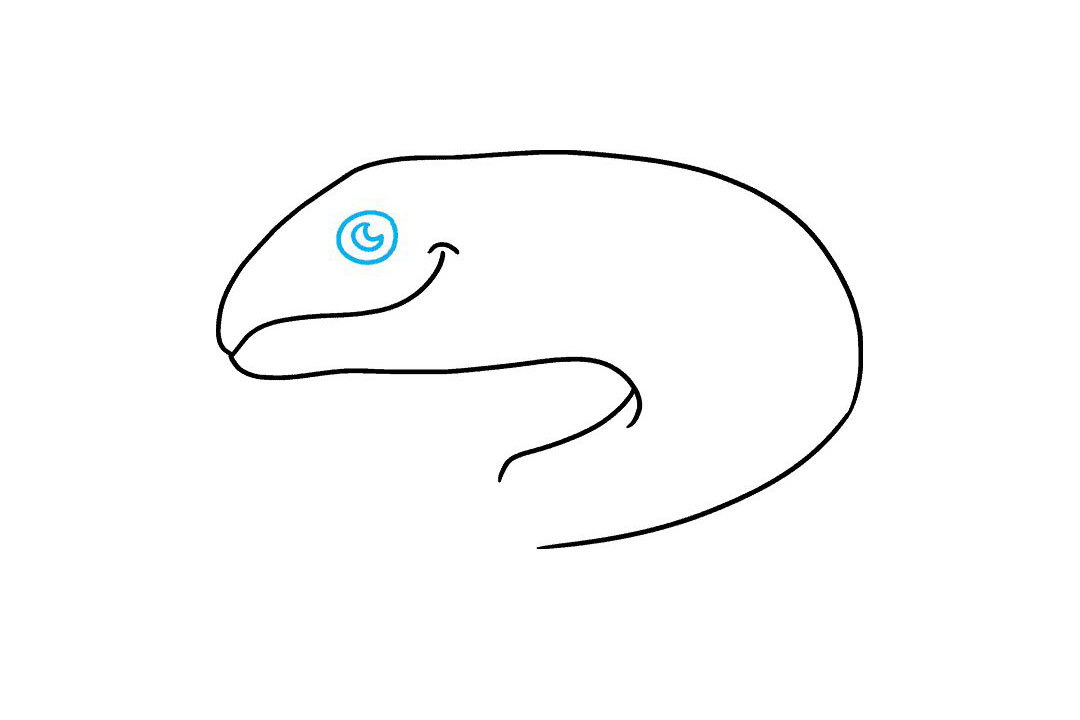 三文鱼怎么画-图3