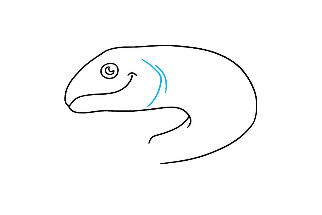 三文鱼怎么画-图4