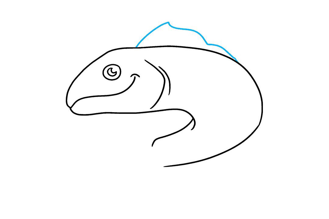 三文鱼怎么画-图5