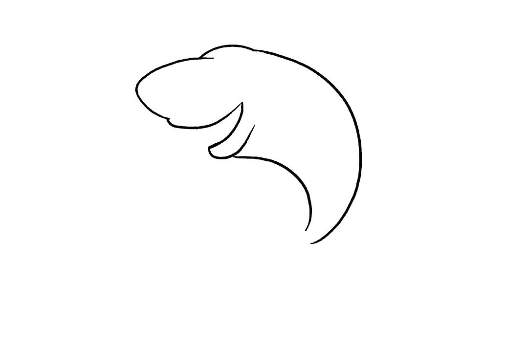 卡通鲨鱼的画法详细步骤-图5