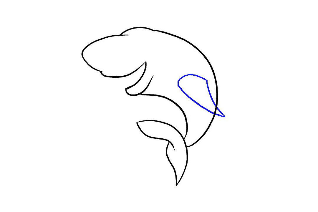 卡通鲨鱼的画法详细步骤-图8