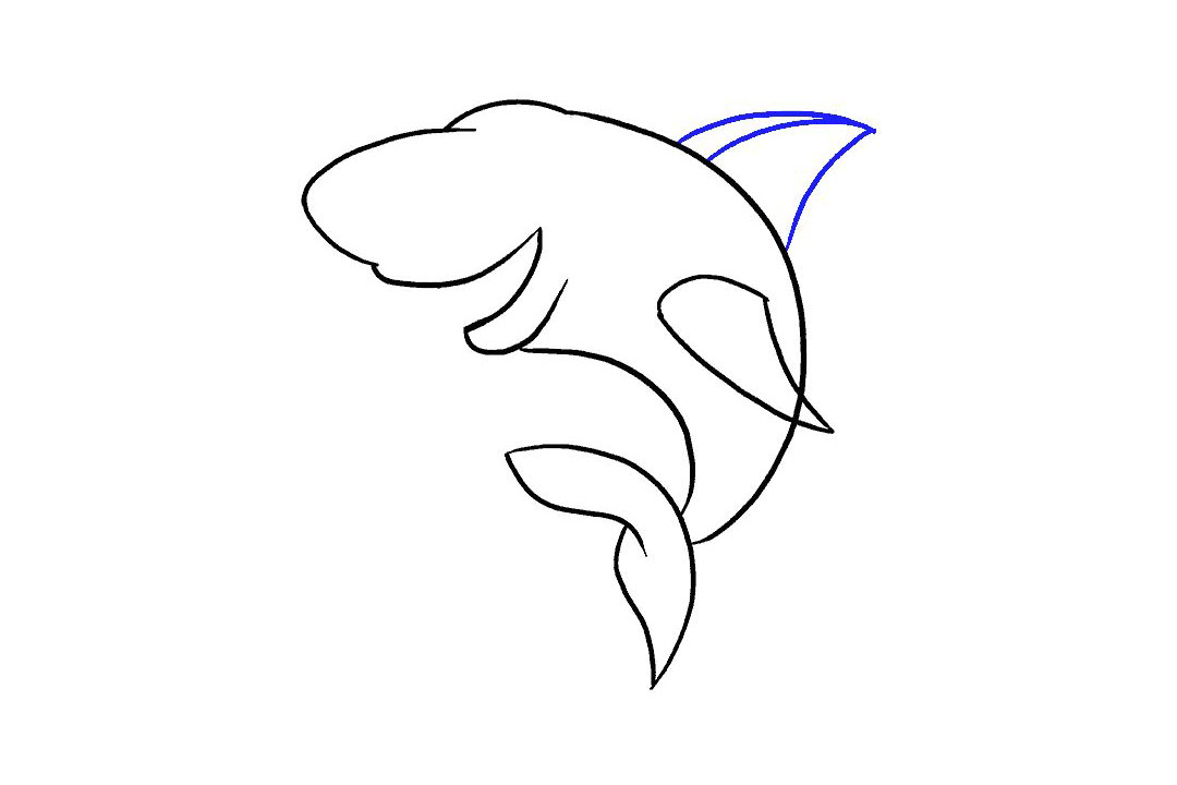 卡通鲨鱼的画法详细步骤-图9