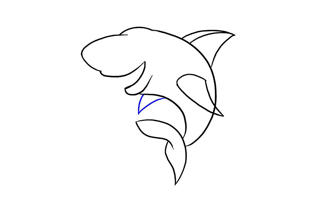 卡通鲨鱼的画法详细步骤-图10