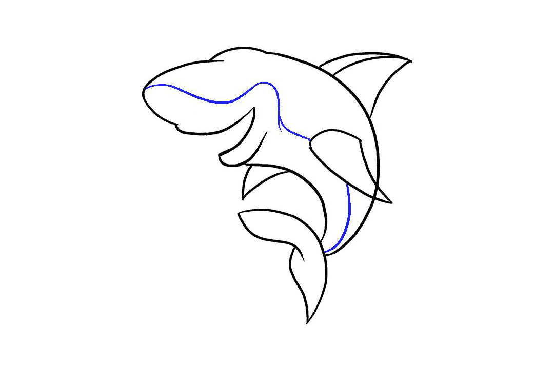 卡通鲨鱼的画法详细步骤-图11