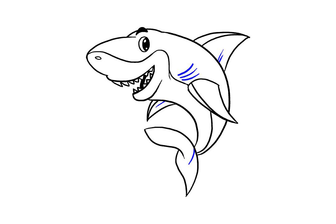 卡通鲨鱼的画法详细步骤-图19
