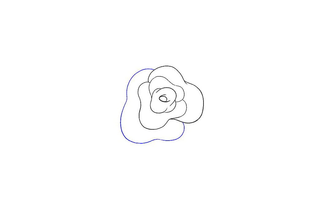 如何画玫瑰花简笔画-图4