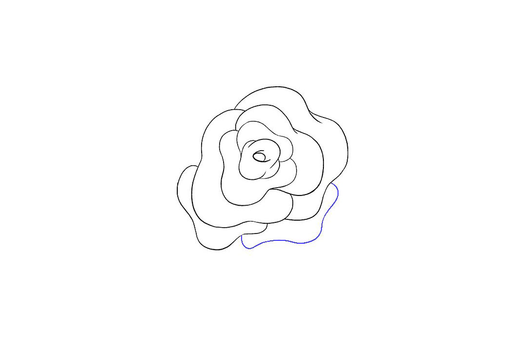 如何画玫瑰花简笔画-图7