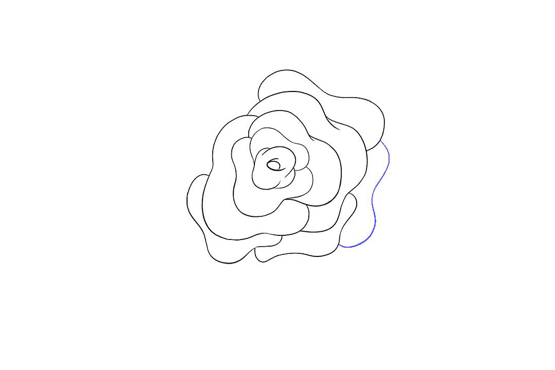 如何画玫瑰花简笔画-图9