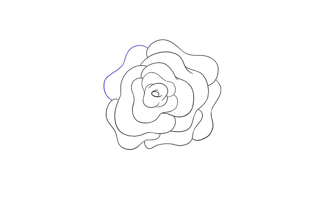 如何画玫瑰花简笔画-图10