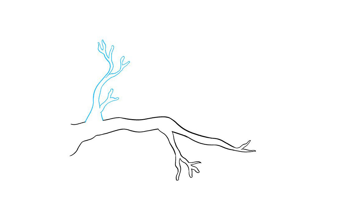 树枝怎么画-图5