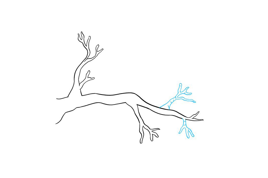 树枝怎么画-图6