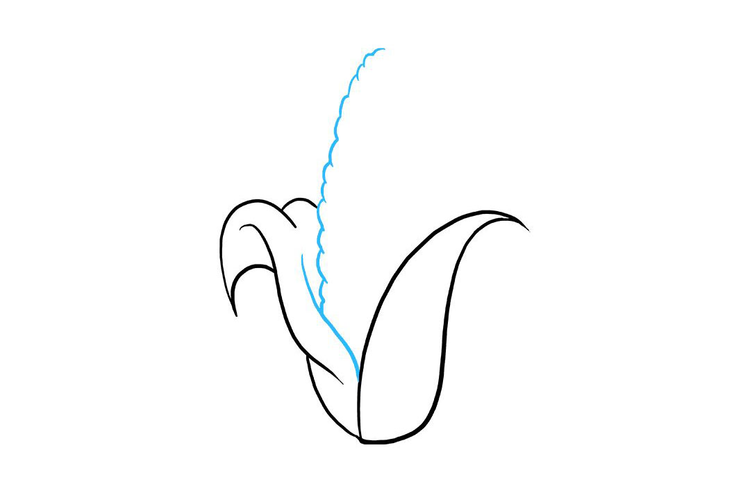 玉米怎么画-图4