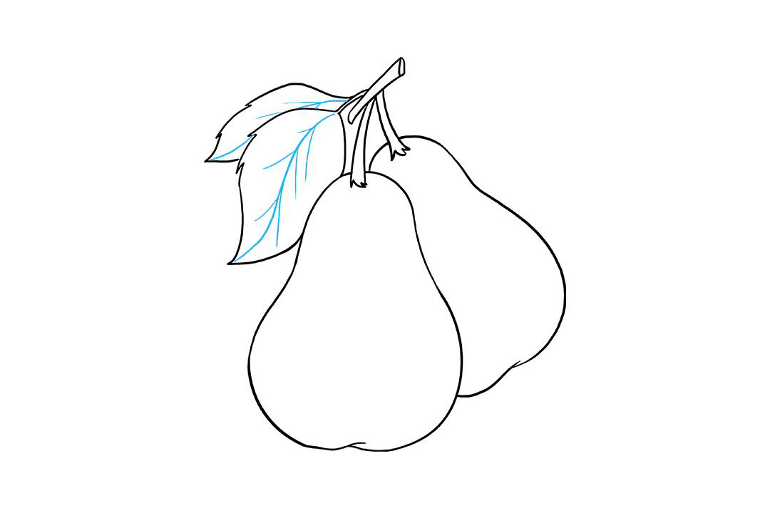 简笔画梨的画法-图9