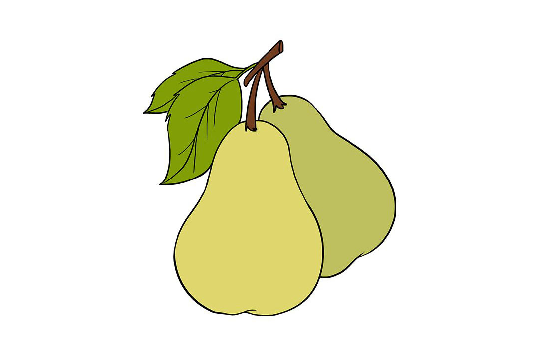 简笔画梨的画法