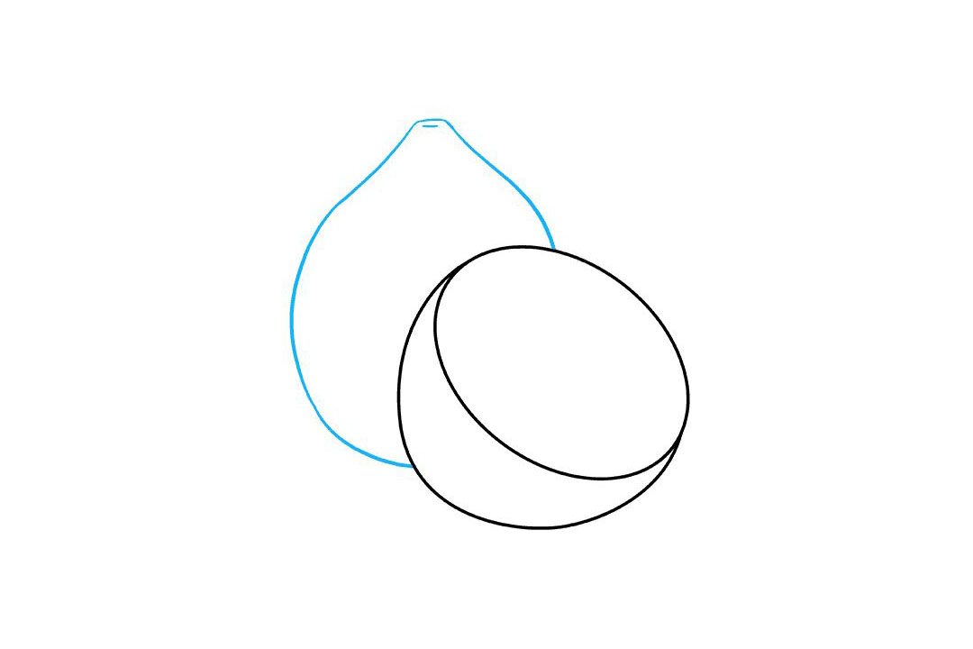 如何画柠檬简笔画-图3