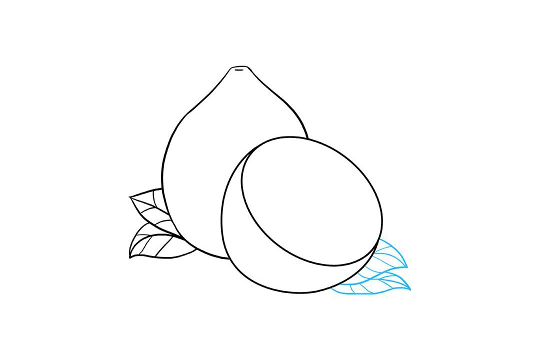 如何画柠檬简笔画-图5