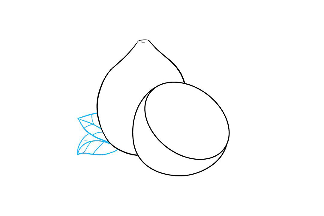 如何画柠檬简笔画-图4