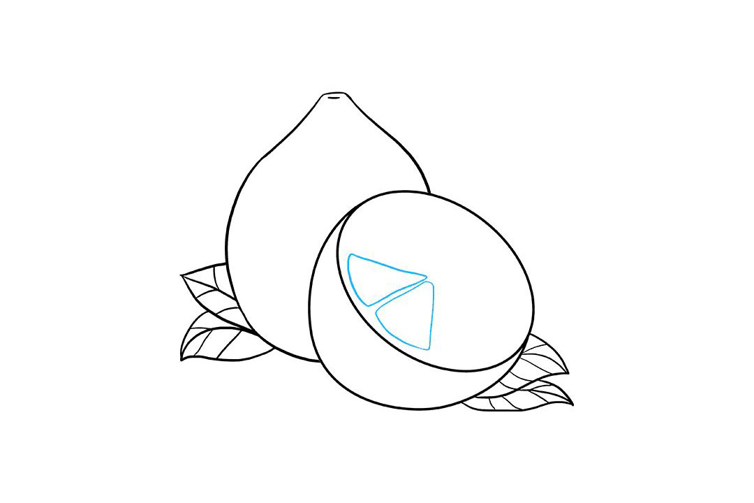 如何画柠檬简笔画-图6